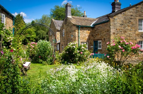 Beeley in Bloom