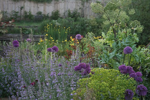 Debden Open Gardens