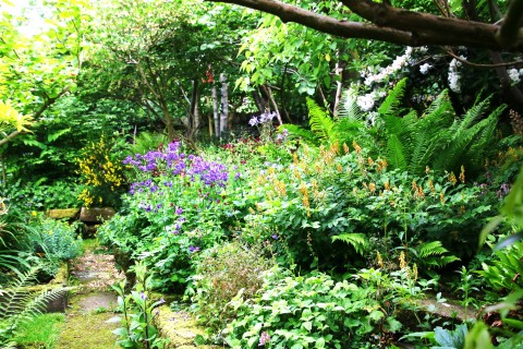 Thornton Open Gardens (West Yorkshire)