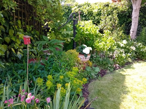 Weston Open Gardens