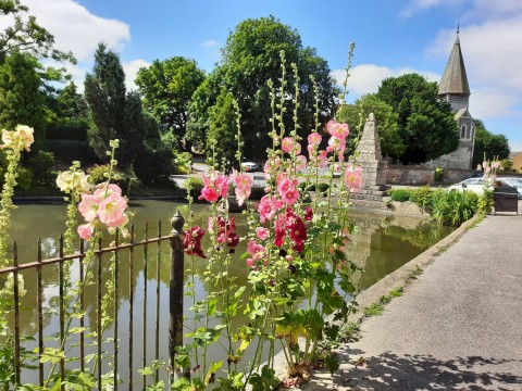 Worth Village Open Gardens