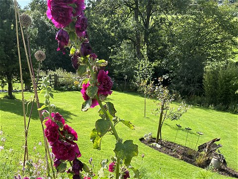 Corscombe Open Gardens