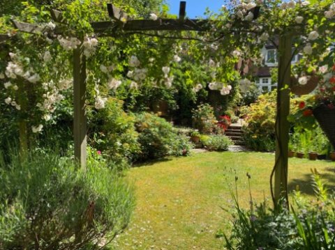 Moseley in Bloom Open Gardens