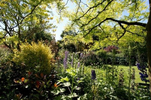 Marton cum Grafton Open Gardens and Summer Festival