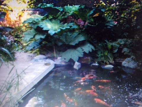Irthlingborough Open Gardens