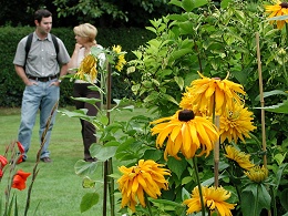  The Open Gardens National Directory 